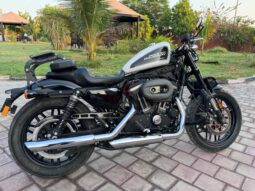 HARLEY-DAVIDSON Roadster (Xl1200Cx) 2020