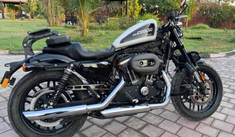 
								HARLEY-DAVIDSON Roadster (Xl1200Cx) 2020 full									