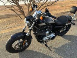 HARLEY-DAVIDSON Sportster 1200 Custom B (Xl1200Cb) 2019