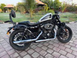 HARLEY-DAVIDSON Roadster (Xl1200Cx) 2020