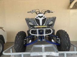 YAMAHA Raptor 700 (Yfm700R) 2019