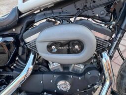 
										HARLEY-DAVIDSON Roadster (Xl1200Cx) 2020 full									