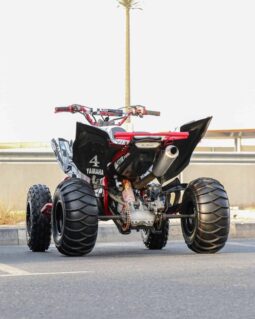 YAMAHA Raptor 700 Se (Yfm700Rse) 2015