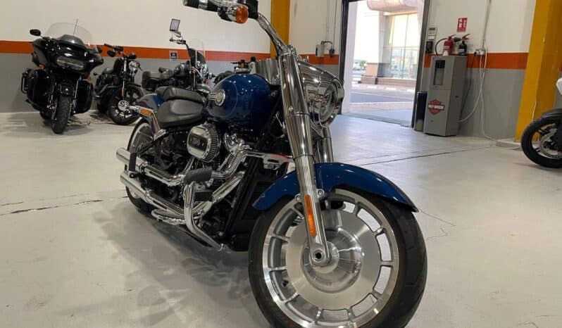 
								HARLEY-DAVIDSON Fat Boy 114 (Flfbs) 2022 full									