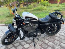 
										HARLEY-DAVIDSON Roadster (Xl1200Cx) 2020 full									