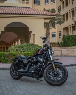 
										HARLEY-DAVIDSON Forty-Eight (Xl1200X) 2021 full									