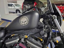 
										HARLEY-DAVIDSON Iron 883 (Xl883N) 2010 full									