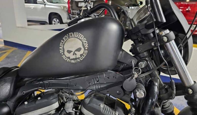 
								HARLEY-DAVIDSON Iron 883 (Xl883N) 2010 full									