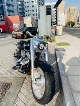 
										HARLEY-DAVIDSON Fat Boy 114 (Flfbs) 2019 full									