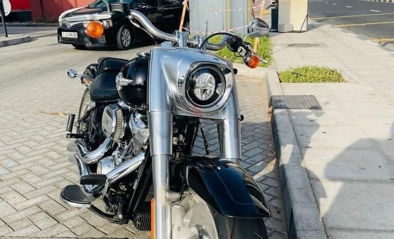 
								HARLEY-DAVIDSON Fat Boy 114 (Flfbs) 2019 full									