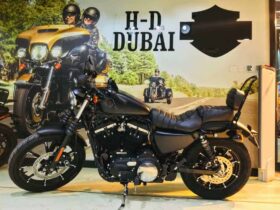 HARLEY-DAVIDSON Iron 883 (Xl883N) 2019