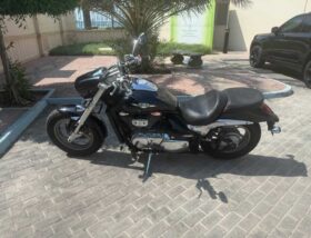 SUZUKI Boulevard M50 (Vz800) 2016