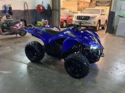 
										YAMAHA Grizzly 450 4X4 Auto (Yfm450Fa) 2009 full									