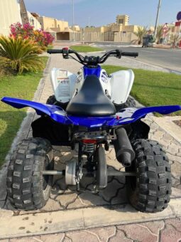 YAMAHA Raptor 90 (Yfm90R) 2017