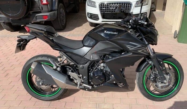 
								KAWASAKI Z300 Abs 2016 full									