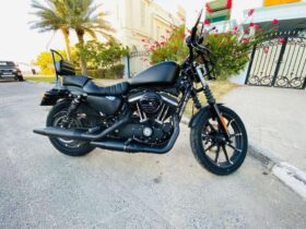 HARLEY-DAVIDSON Iron 883 (Xl883N) 2019