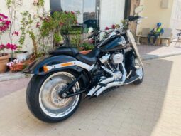 HARLEY-DAVIDSON Fat Boy 114 (Flfbs) 2019