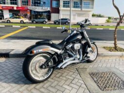 
										HARLEY-DAVIDSON Fat Boy 114 (Flfbs) 2019 full									