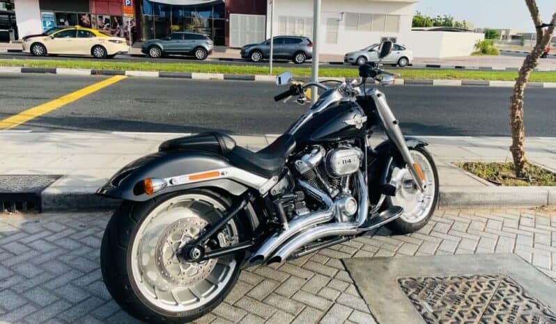 
								HARLEY-DAVIDSON Fat Boy 114 (Flfbs) 2019 full									