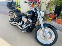 
										HARLEY-DAVIDSON Fat Boy 114 (Flfbs) 2019 full									