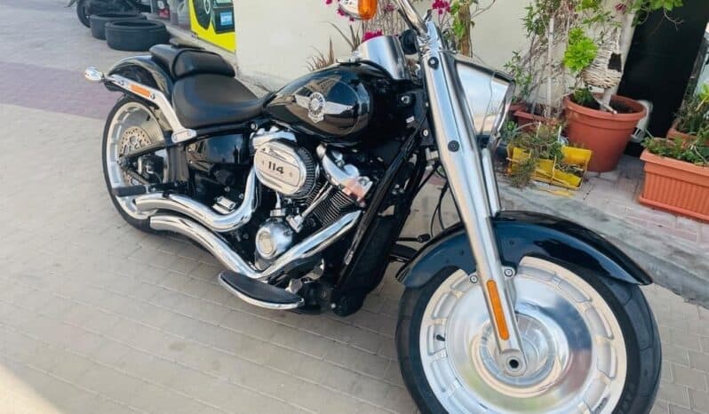 
								HARLEY-DAVIDSON Fat Boy 114 (Flfbs) 2019 full									