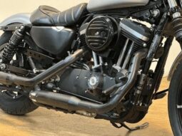 
										HARLEY-DAVIDSON Iron 883 (Xl883N) 2020 full									