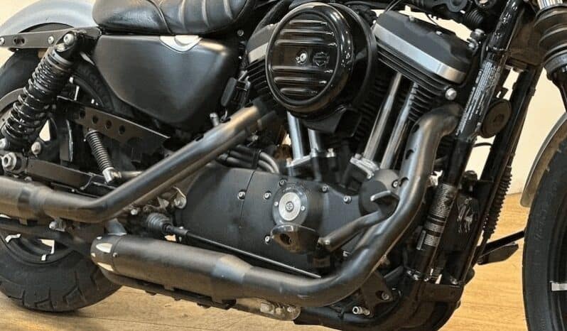 
								HARLEY-DAVIDSON Iron 883 (Xl883N) 2020 full									