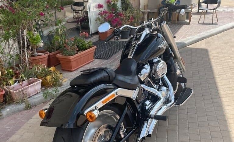 
								HARLEY-DAVIDSON Fat Boy 114 (Flfbs) 2019 full									