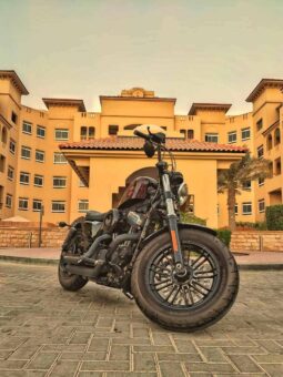 
										HARLEY-DAVIDSON Forty-Eight (Xl1200X) 2021 full									