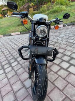 
										HARLEY-DAVIDSON Roadster (Xl1200Cx) 2020 full									