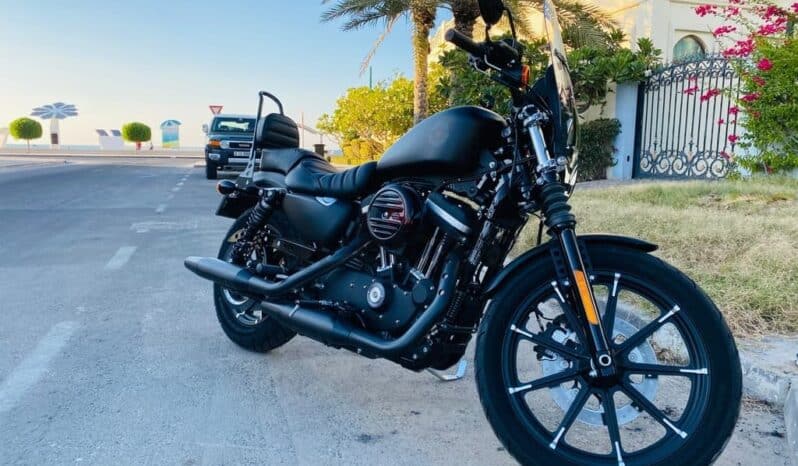 
								HARLEY-DAVIDSON Iron 883 (Xl883N) 2019 full									